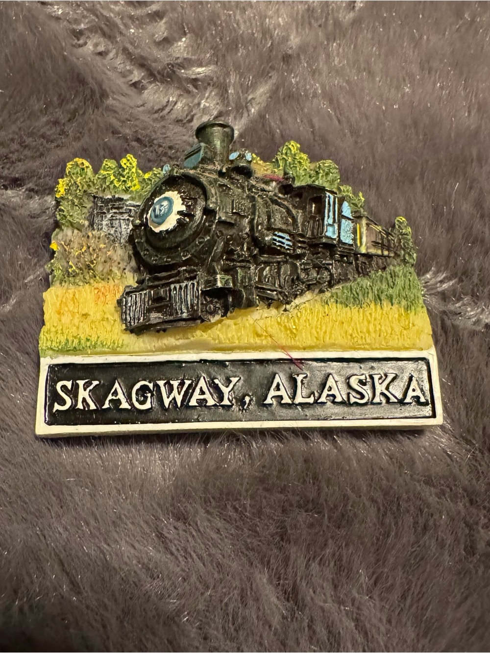 Skagway Alaska Vintage Train Fridge Magnet Kitchen Home Decor